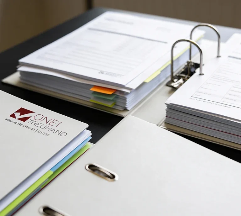 Ordner mit Dokumenten, Treuhand, Steuerberatung, Buchhaltung, Organisation, Finanzmanagement, Geschäftsdokumentation.
