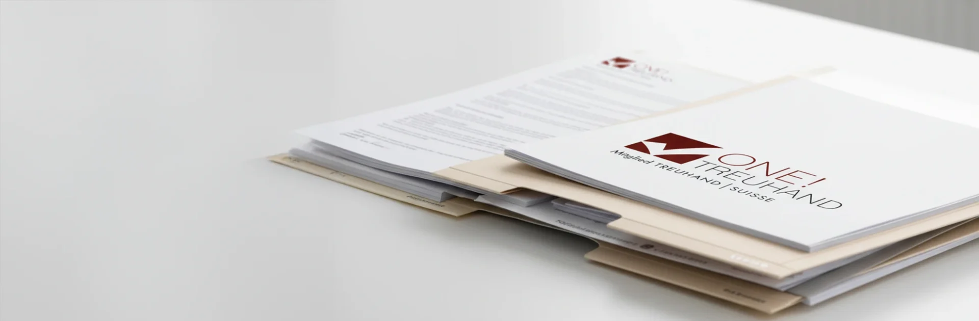 Ordner und Dokumente für Treuhand- und Steuerberatung, Unternehmensberatung, Businessberatung auf Schreibtisch.